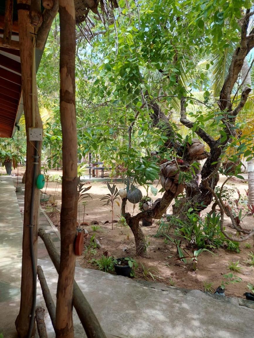 Majestic Beach Retreat Kalpitiya Exterior photo